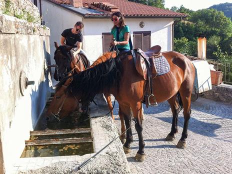 SMARTBOX - 1 esperienza a cavallo con pausa gourmet o attività per 2 - Cofanetto regalo - 8