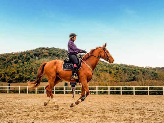 SMARTBOX - 1 esperienza a cavallo con pausa gourmet o attività per 2 - Cofanetto regalo - 9