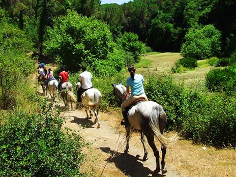 SMARTBOX - Passeggiata a cavallo con partenza da Siena - Cofanetto regalo - 2