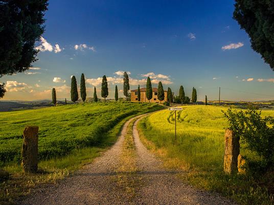 SMARTBOX - Passeggiata a cavallo con partenza da Siena - Cofanetto regalo - 6