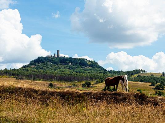SMARTBOX - Passeggiata a cavallo con partenza da Siena - Cofanetto regalo - 7