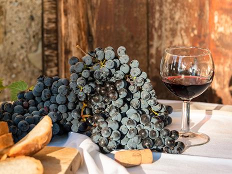 SMARTBOX - Tour del Chianti e dei Castelli toscani con 2 degustazioni tipiche - Cofanetto regalo - 3