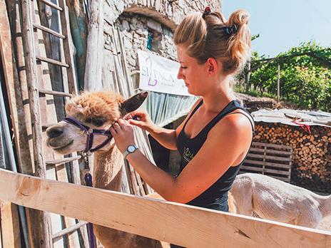 SMARTBOX - Emozioni nella Val di Cembra: passeggiata con alpaca e visita interattiva in azienda - Cofanetto regalo - 3