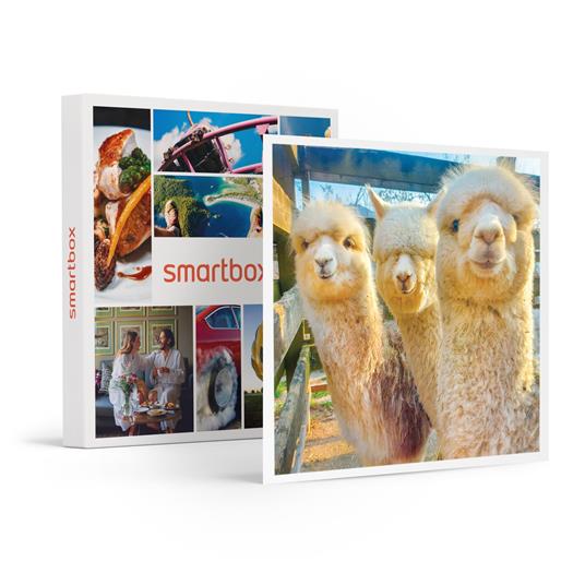SMARTBOX - Emozioni nella Val di Cembra: passeggiata con alpaca e visita interattiva in azienda - Cofanetto regalo