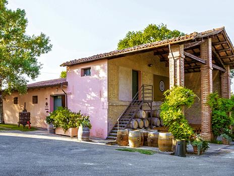 SMARTBOX - Degustazione di vino in Emilia Romagna con visita alle cantine - Cofanetto regalo - 3