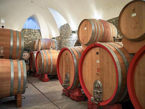 SMARTBOX - Degustazione con gli esperti di Vitigni Irpini e 2 bottiglie di vino - Cofanetto regalo - 3