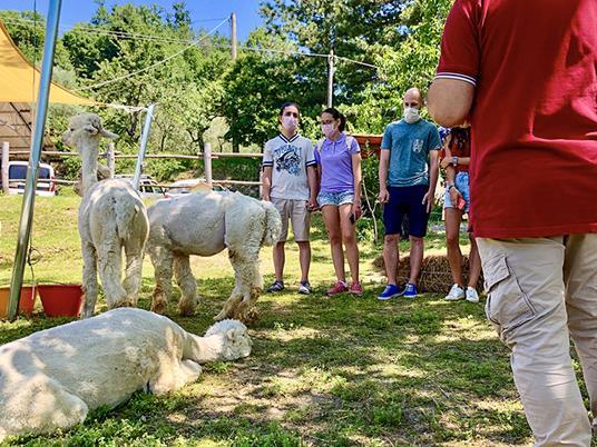 SMARTBOX - Picnic con gli alpaca in Toscana - Cofanetto regalo - 7