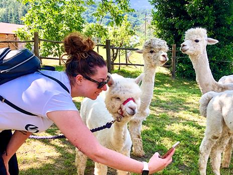 SMARTBOX - Visita agli alpaca in famiglia: picnic e souvenir per 2 adulti e 1 bambino - Cofanetto regalo - 3