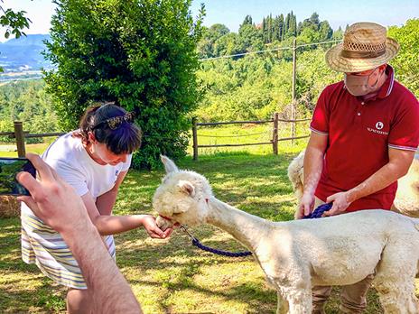 SMARTBOX - Picnic in famiglia con gli alpaca: visita e souvenir per 2 adulti e 2 bambini - Cofanetto regalo - 3