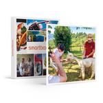 SMARTBOX - Gita con gli alpaca in Toscana per 2 adulti e 2 bambini - Cofanetto regalo