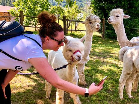 SMARTBOX - Passeggiata con gli alpaca in famiglia: visita all'allevamento per 2 adulti e 1 bambino - Cofanetto regalo - 3