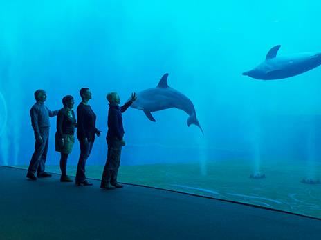 SMARTBOX - 1 notte in Junior Suite in residenza d'epoca 4* a Genova con cena e ingresso all'Acquario - Cofanetto regalo - 4