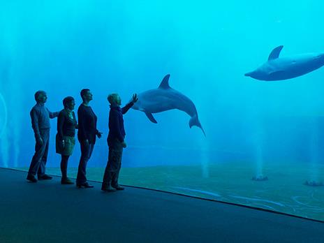 SMARTBOX - 1 notte in Junior Suite in residenza d'epoca 4* a Genova con cena e ingresso all'Acquario - Cofanetto regalo - 7