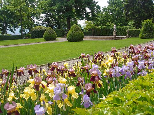 SMARTBOX - 1 notte da fiaba presso il Castello di Rocca Grimalda con visita guidata e degustazione vino - Cofanetto regalo - 4