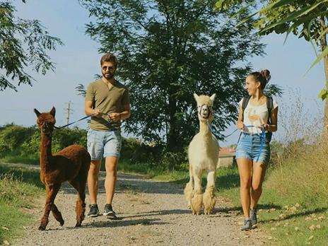 SMARTBOX - A spasso con gli alpaca: slow trekking in una fattoria per 2 adulti e 1 bambino - Cofanetto regalo - 7