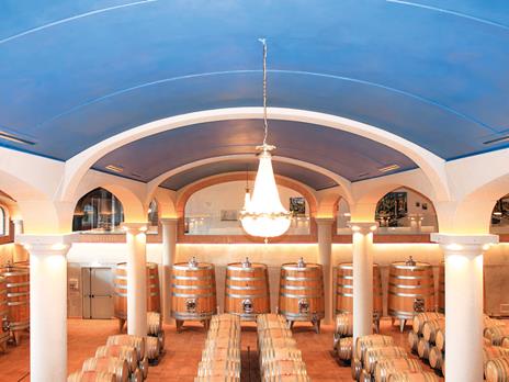 SMARTBOX - Natale nelle cantine dItalia: degustazione di vini per 2 persone - Cofanetto regalo - 2