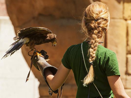 SMARTBOX - Un Natale emozionante tra avventura e sport per 2 - Cofanetto regalo - 3