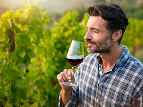 SMARTBOX - 2 giorni di enologia per la festa del papà - Cofanetto regalo - 4