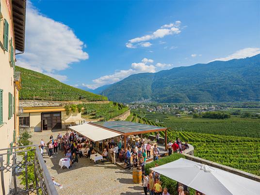 SMARTBOX - Un picnic in vigna al sapore di Montepulciano con tour in cantina - Cofanetto regalo - 2