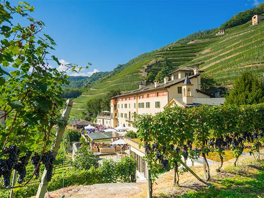 SMARTBOX - Un picnic in vigna al sapore di Montepulciano con tour in cantina - Cofanetto regalo - 4
