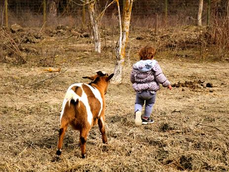 SMARTBOX - Alpaca, natura e dolcezza: visita guidata in fattoria a Siena per 3 persone - Cofanetto regalo - 3