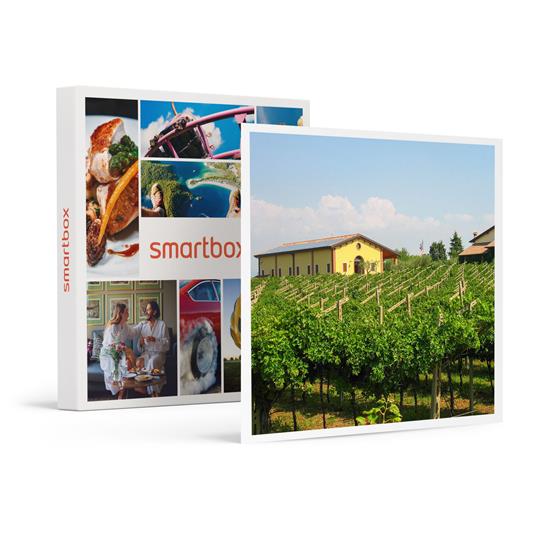 SMARTBOX - Il Lago di Garda e i suoi vini: 1 degustazione con prodotti tipici - Cofanetto regalo