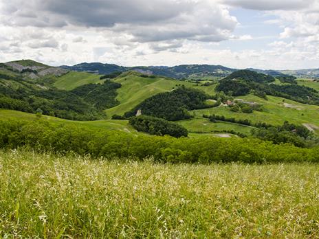 SMARTBOX - 1 notte con pranzo e fattoria didattica in un agriturismo della Lunigiana per 4 - Cofanetto regalo - 4
