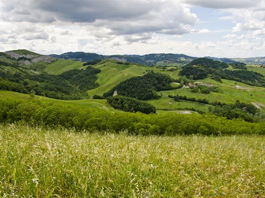 SMARTBOX - 1 notte con pranzo e fattoria didattica in un agriturismo della Lunigiana per 4 - Cofanetto regalo - 4