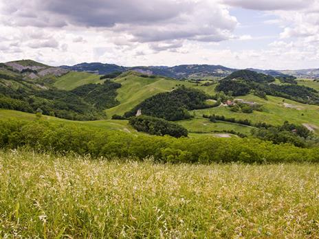SMARTBOX - 1 notte in agriturismo in Lunigiana con visita alla fattoria didattica - Cofanetto regalo - 4