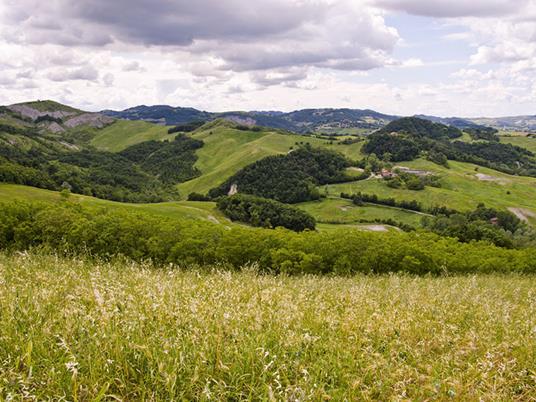 SMARTBOX - 1 notte in agriturismo in Lunigiana con visita alla fattoria didattica - Cofanetto regalo - 4