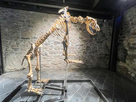 SMARTBOX - Volo in Zipline e visita al museo e alle Grotte di Equi Geo-Archeo Park per 2 - Cofanetto regalo - 4