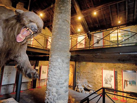 SMARTBOX - Volo in Zipline, visita al museo e percorso privato alle Grotte di Equi da 2 a 4 persone - Cofanetto regalo - 4