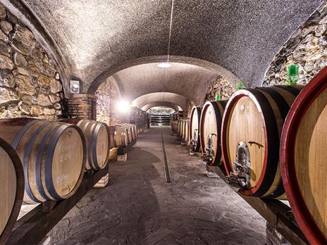 SMARTBOX - Degustazione di 9 vini con 9 abbinamenti gastronomici presso Salsomaggiore Terme - Cofanetto regalo - 2