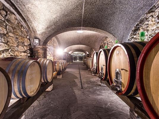 SMARTBOX - Degustazione di 9 vini con 9 abbinamenti gastronomici presso Salsomaggiore Terme - Cofanetto regalo - 2