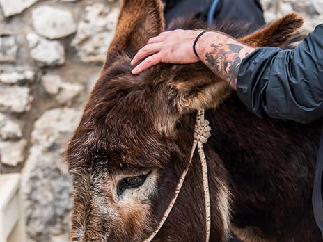 SMARTBOX - Suggestivo trekking con gli asinelli a Rocca Calascio e light lunch per 2 persone - Cofanetto regalo - 4