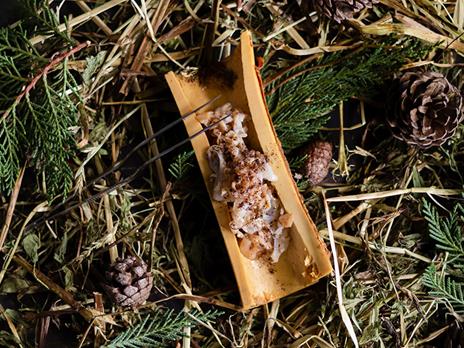 Accordi gastronomici in Basilicata: una romantica cena da Bramea - 3