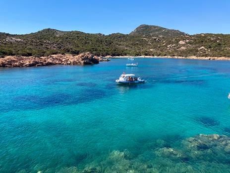 SMARTBOX - In Sardegna sulla scia dei delfini: escursione in gommone per 2 adulti e 2 bambini - Cofanetto regalo - 3