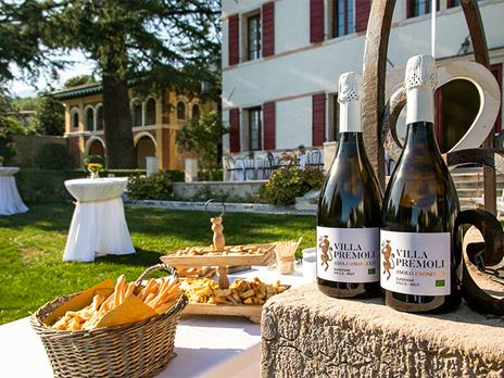 SMARTBOX - Fascino veneto: 1 visita guidata in dimora storica con degustazione vini per 2 - Cofanetto regalo - 2
