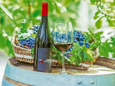 SMARTBOX - In Emilia-Romagna tra calici e relax: 1 notte con Spa e degustazione vini - Cofanetto regalo - 4