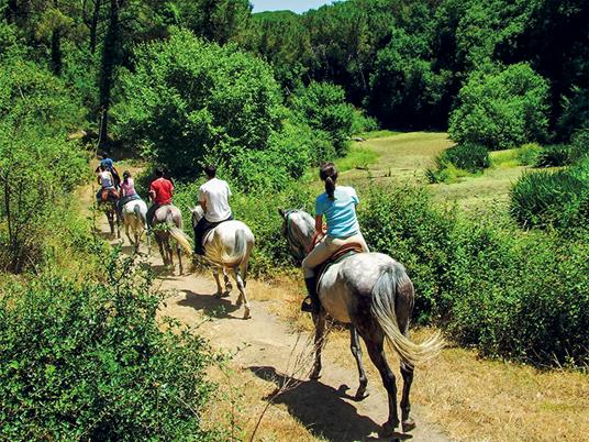 SMARTBOX - Nel verde della Brianza: 1 passeggiata a cavallo di 1h nei pressi di Como - Cofanetto regalo - 2