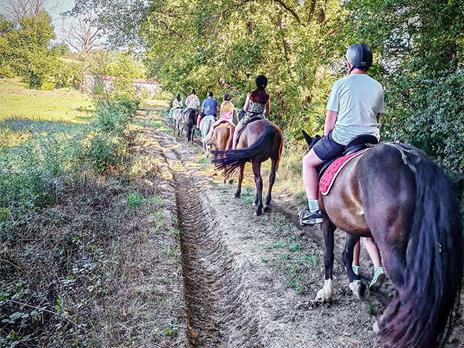 SMARTBOX - Splendida passeggiata a cavallo (2h) per 2 persone vicino a Siena - Cofanetto regalo - 2