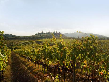 SMARTBOX - Romantico soggiorno di 2 notti con degustazione di Chianti Classico - Cofanetto regalo - 3