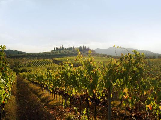 SMARTBOX - Romantico soggiorno di 2 notti con degustazione di Chianti Classico - Cofanetto regalo - 3