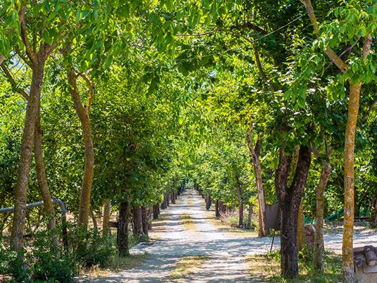 SMARTBOX - Tra Cilento e Costiera Amalfitana: 1 notte in Suite con colazione e aperitivo in hotel 4* - Cofanetto regalo - 4