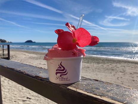 SMARTBOX - Delizie in riva al mare ad Alassio: degustazione di 5 gelati gourmet ai fiori per 2 persone - Cofanetto regalo - 2