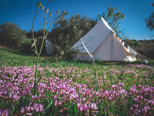 SMARTBOX - 1 notte Glamping in tenda tra gli ulivi con sfizioso picnic e aperitivo nel cuore della Sardegna - Cofanetto regalo - 2