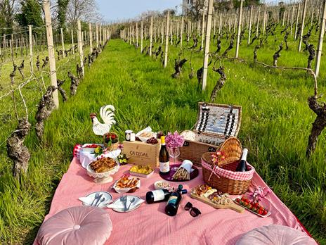 SMARTBOX - 1 notte nei vigneti di una cantina delle Langhe con visita e degustazione vini per 3 - Cofanetto regalo - 2