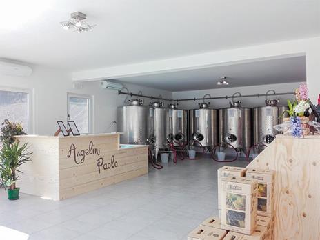 SMARTBOX - Tour in Buggy tra i vigneti del Piemonte con visita alla cantina e degustazione di 4 vini - Cofanetto regalo - 2