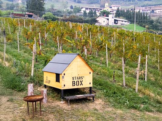 SMARTBOX - Sotto le stelle tra i vigneti: 1 insolita notte in StarsBox e degustazione vini a Bergamo - Cofanetto regalo - 3