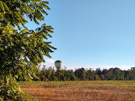 SMARTBOX - In mongolfiera tra il Parco del Ticino e Milano: volo per 2 con degustazione tipica - Cofanetto regalo - 2